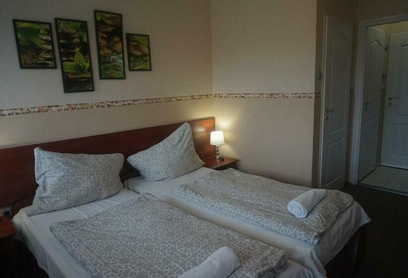 标准间带阳台, Ajka