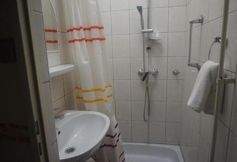 标准间带阳台, Ajka