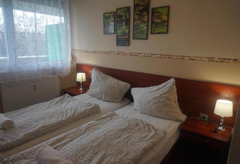 标准间带阳台, Ajka