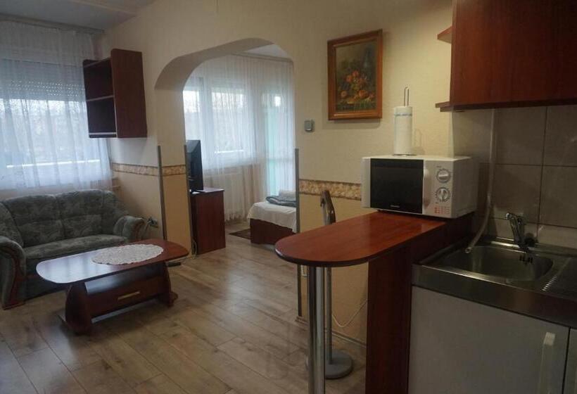 带1个卧室的带阳台的公寓, Ajka