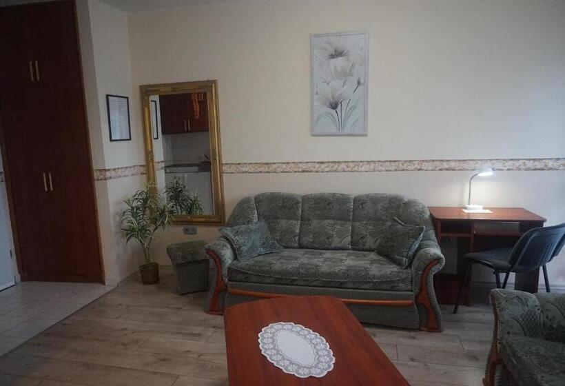 带1个卧室的带阳台的公寓, Ajka