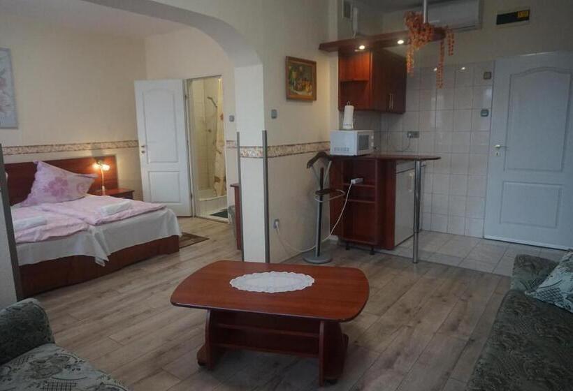 带1个卧室的带阳台的公寓, Ajka