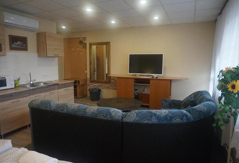 带1个卧室的带阳台的公寓, Ajka