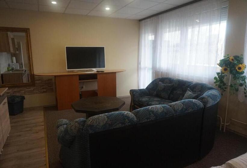 带1个卧室的带阳台的公寓, Ajka