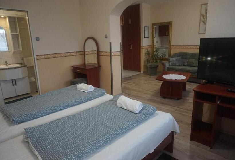 带1个卧室的带阳台的公寓, Ajka