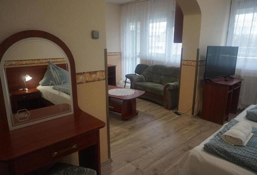 带1个卧室的带阳台的公寓, Ajka