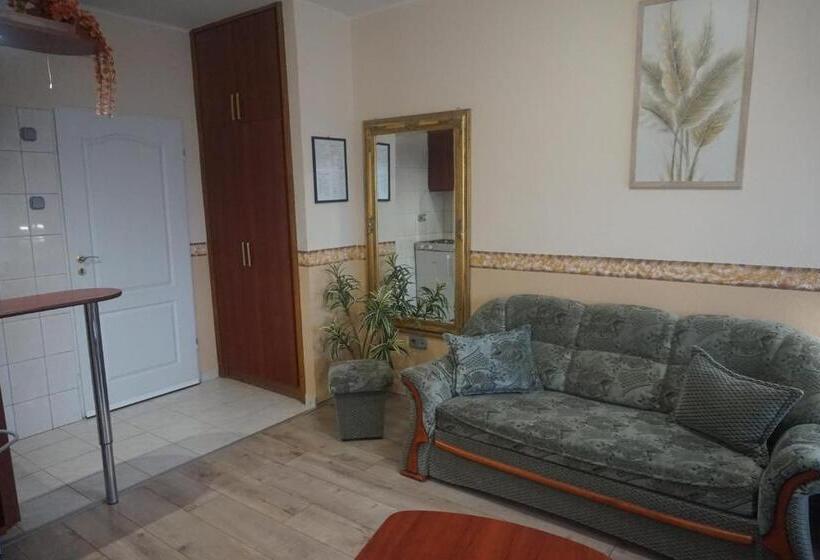 带1个卧室的带阳台的公寓, Ajka