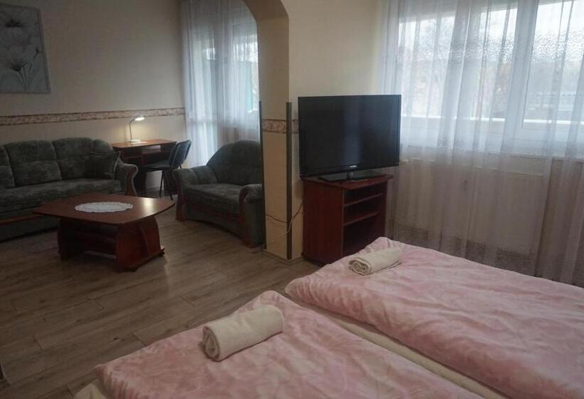 带1个卧室的带阳台的公寓, Ajka