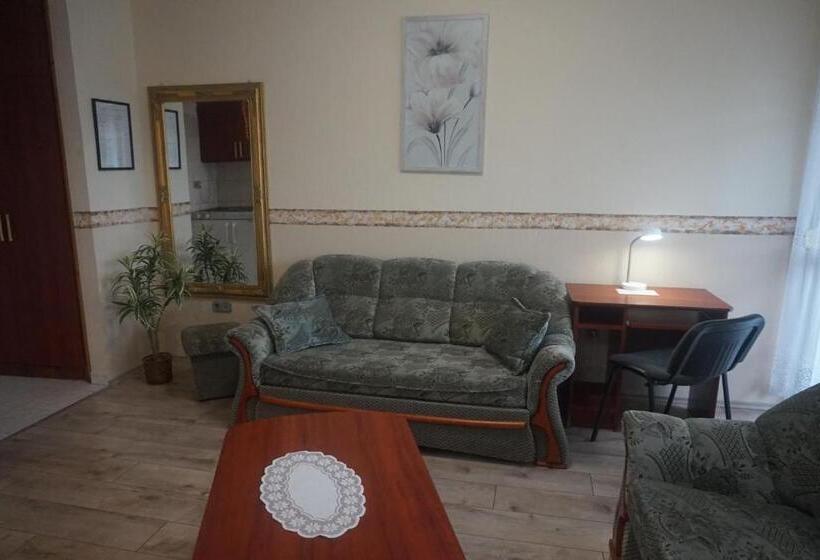 带1个卧室的带阳台的公寓, Ajka