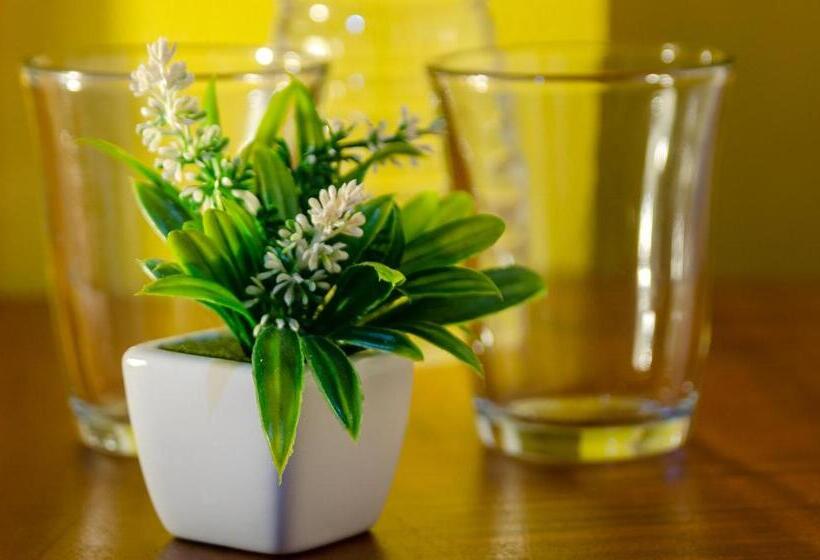 غرفة قياسية, La Dolce Vita   On The Beach   Samara