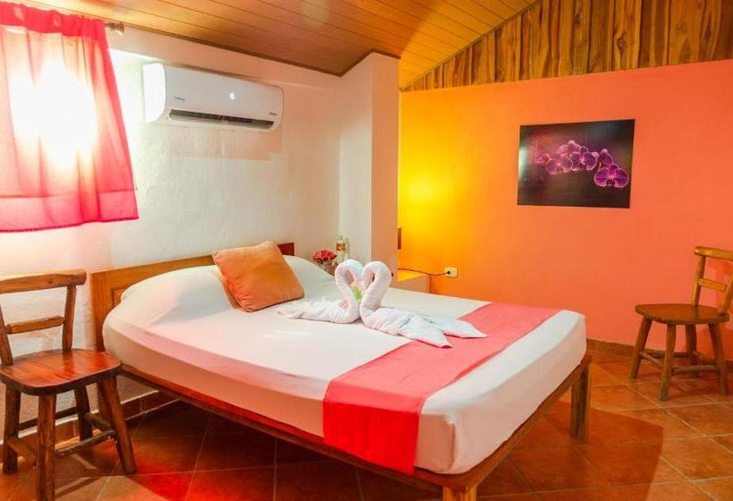 غرفة قياسية حمام مشترك, La Dolce Vita   On The Beach   Samara