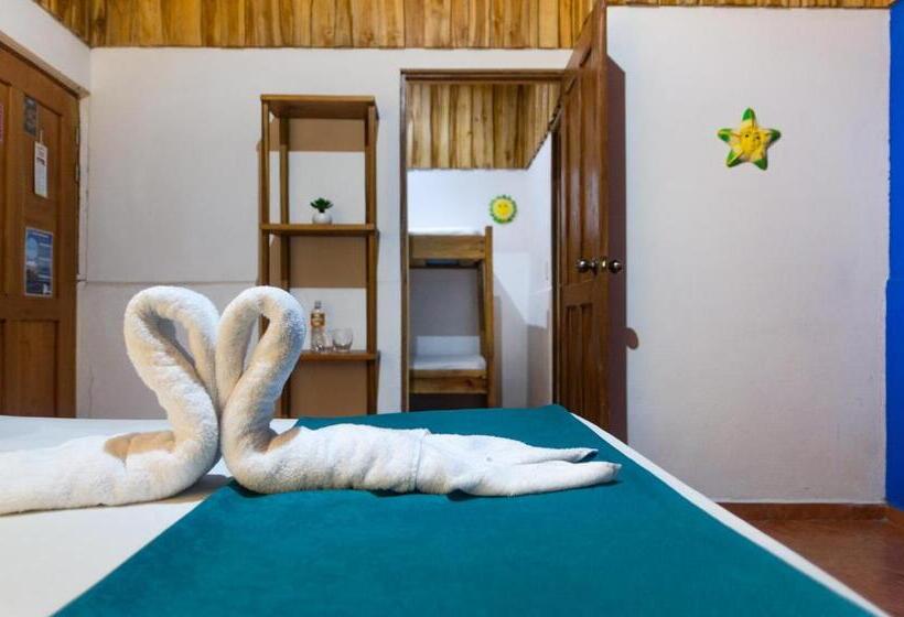 غرفة قياسية, La Dolce Vita   On The Beach   Samara