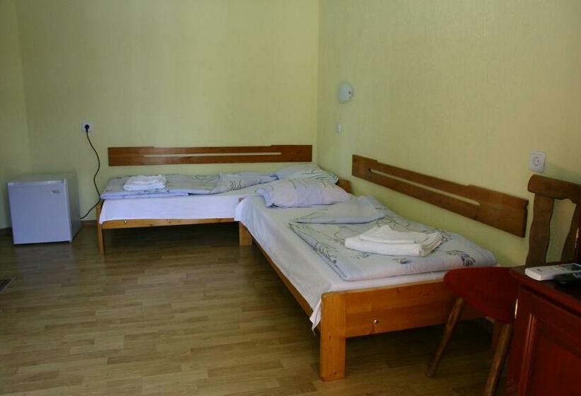 Номер Стандарт с Балконом, Family Hotel Studio