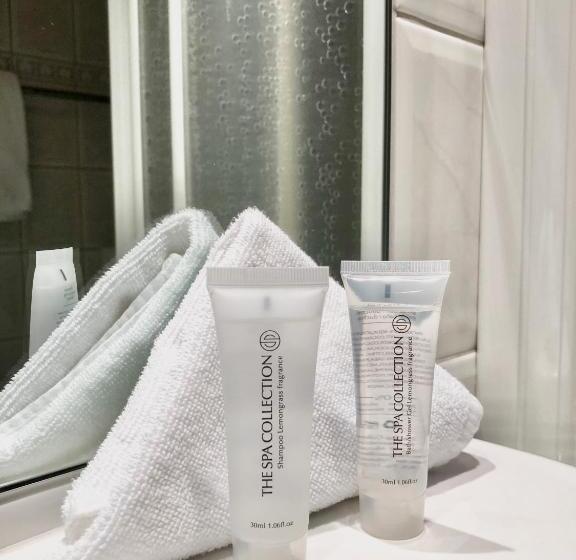 Deluxe Einzelzimmer, Châlet Du Lac