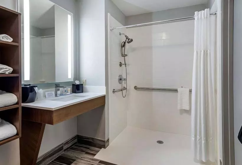 ２ダブルベッドのスタンダードルーム, Comfort Inn & Suites Troutville   Roanoke North   Daleville