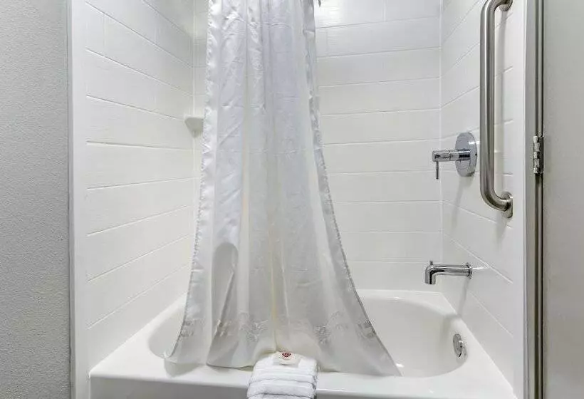 ２ダブルベッドのスタンダードルーム, Comfort Inn & Suites Troutville   Roanoke North   Daleville