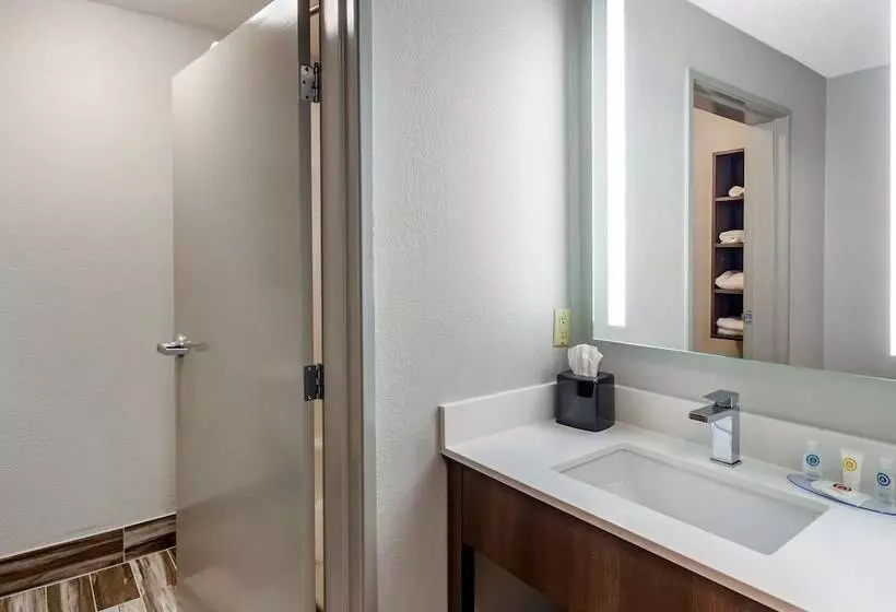 ２ダブルベッドのスタンダードルーム, Comfort Inn & Suites Troutville   Roanoke North   Daleville
