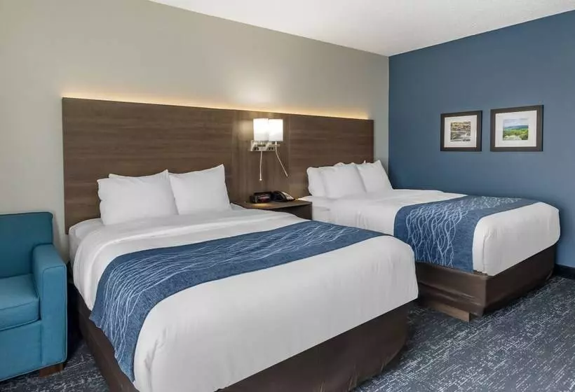 ２ダブルベッドのスタンダードルーム, Comfort Inn & Suites Troutville   Roanoke North   Daleville