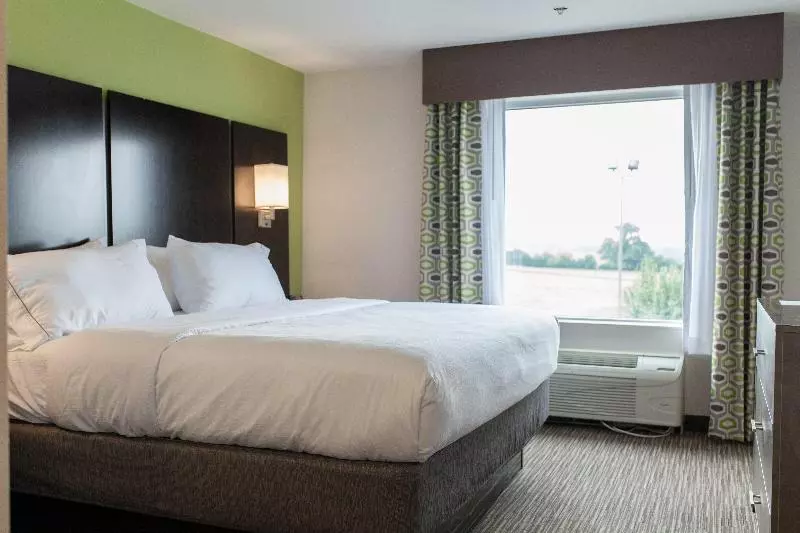 キングサイズベッドのスタンダードルーム, Holiday Inn Express & Suites Sweetwater, An Ihg