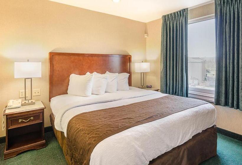 스위트 킹사이즈 침대, Mainstay Suites Airport