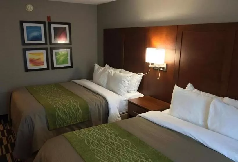 スタンダードルーム, Quality Inn & Suites Ashland Near Kings Dominion