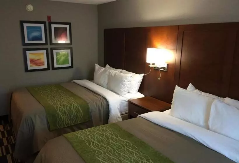 スタンダードルーム, Quality Inn & Suites Ashland Near Kings Dominion