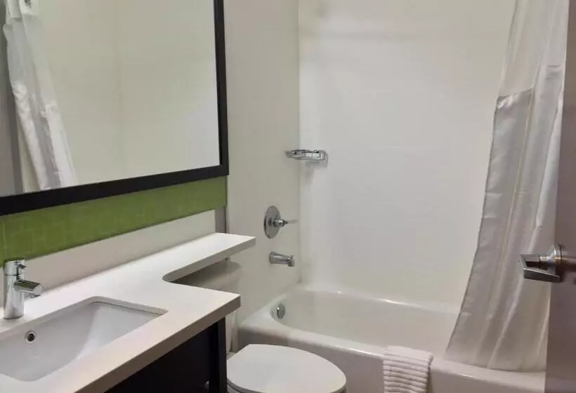 スタンダードルーム, Quality Inn & Suites Ashland Near Kings Dominion