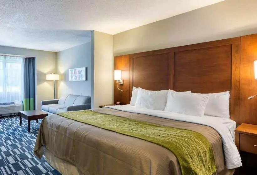 キングサイズベッドのスイートルーム, Quality Inn & Suites Ashland Near Kings Dominion