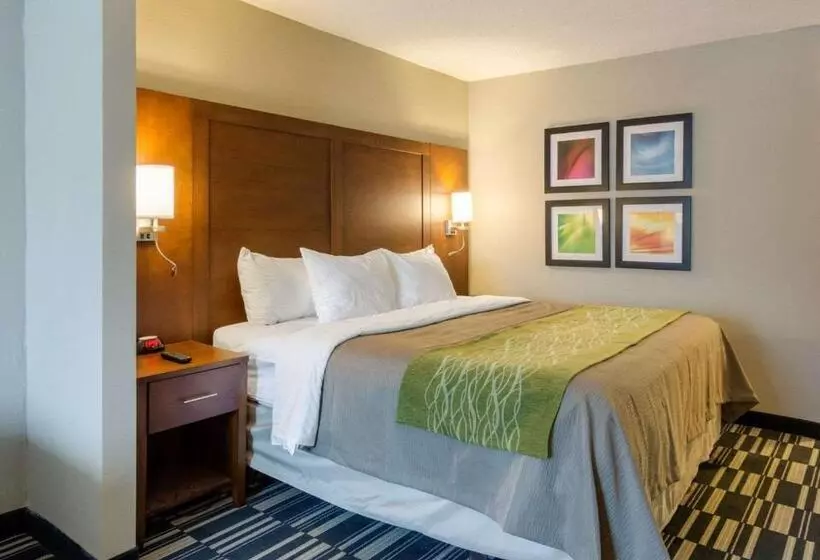 キングサイズベッドのスイートルーム, Quality Inn & Suites Ashland Near Kings Dominion