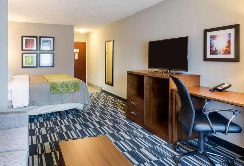 스위트 킹사이즈 침대, Quality Inn & Suites Ashland Near Kings Dominion