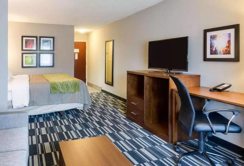キングサイズベッドのスイートルーム, Quality Inn & Suites Ashland Near Kings Dominion