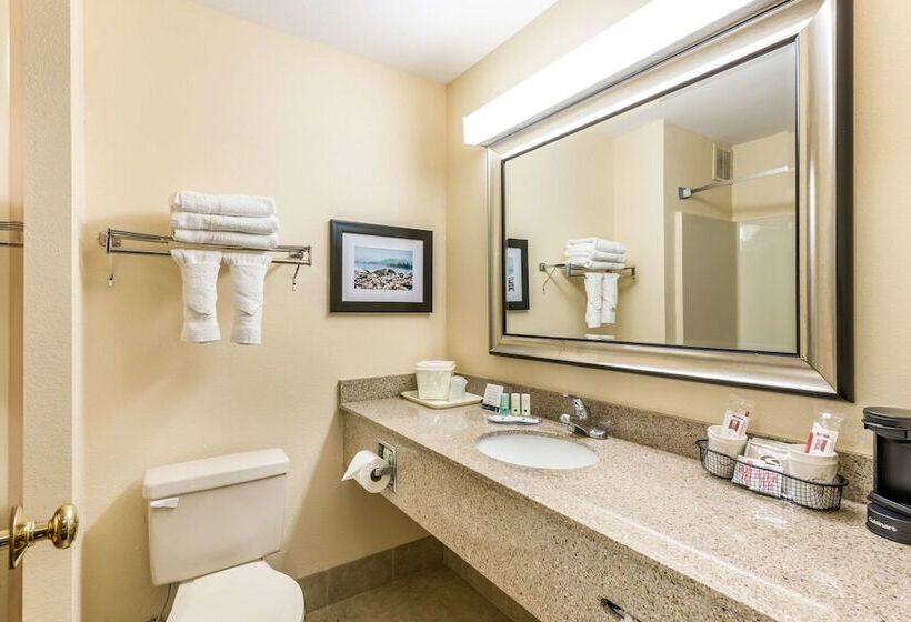 غرفه قياسيه سريرين مزدوجين, Quality Inn Huntersville Near Lake Norman