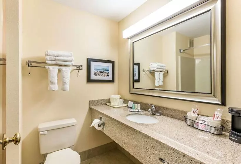 ２ダブルベッドのスタンダードルーム, Quality Inn Huntersville Near Lake Norman