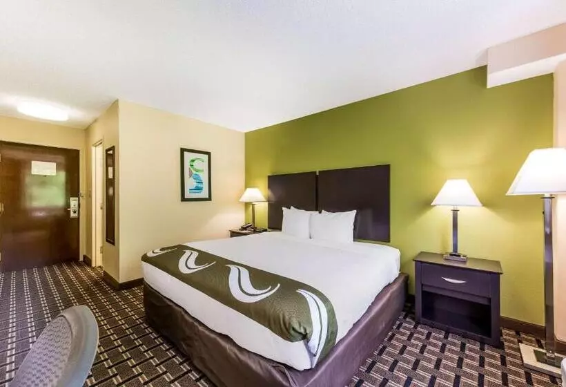 キングサイズベッドのスタンダードルーム, Quality Inn Huntersville Near Lake Norman