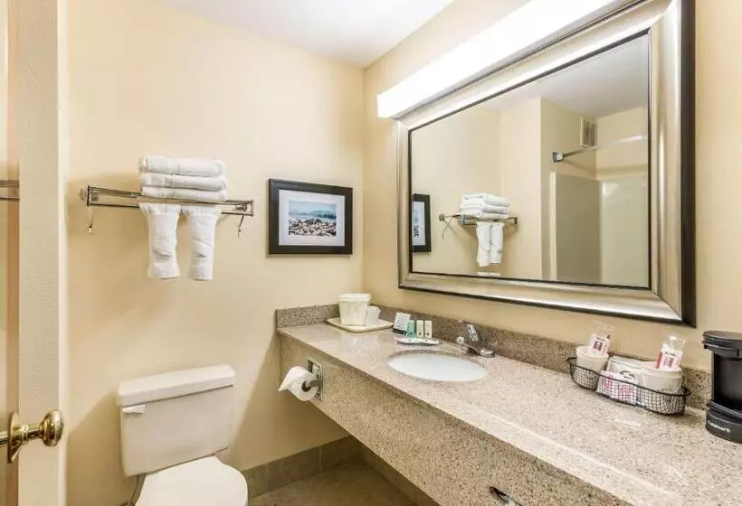キングサイズベッドのスタンダードルーム, Quality Inn Huntersville Near Lake Norman