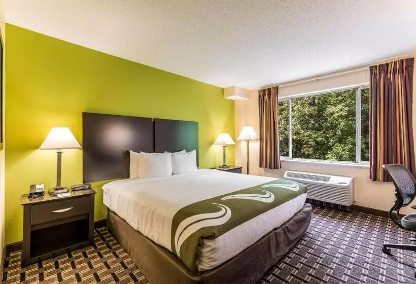 キングサイズベッドのスタンダードルーム, Quality Inn Huntersville Near Lake Norman