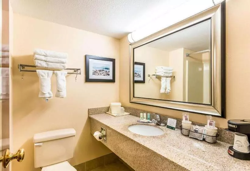 キングサイズベッドのスタンダードルーム, Quality Inn Huntersville Near Lake Norman