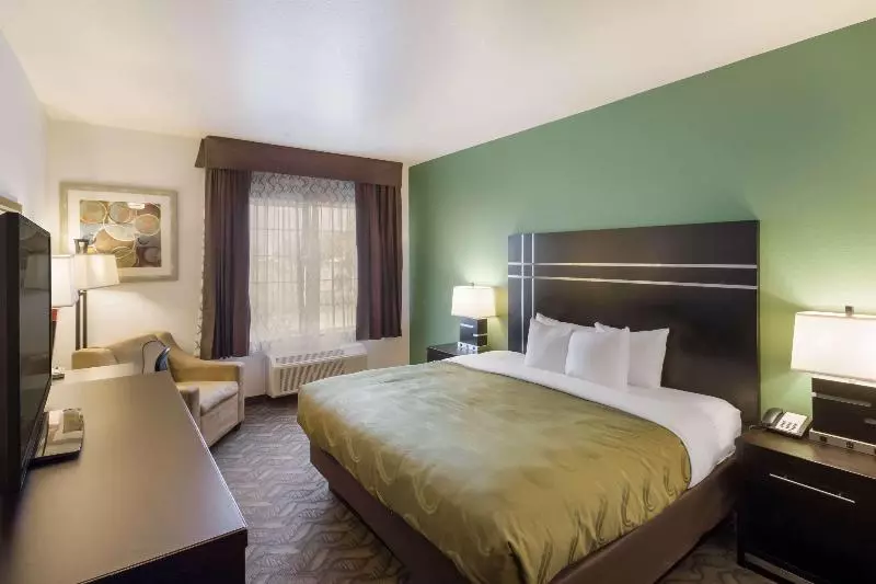 اتاق استاندارد با تخت بزرگ, Quality Inn & Suites Airport West