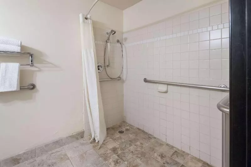 اتاق استاندارد با تخت بزرگ, Quality Inn & Suites Airport West