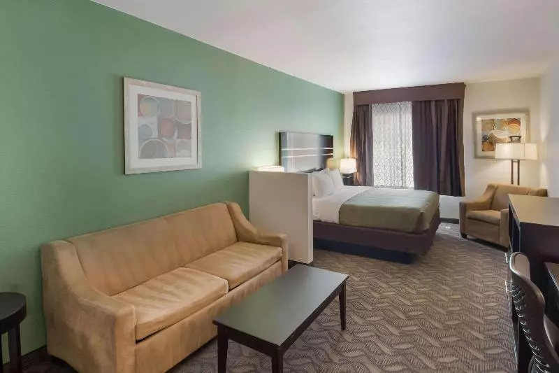 اتاق استاندارد با تخت بزرگ, Quality Inn & Suites Airport West