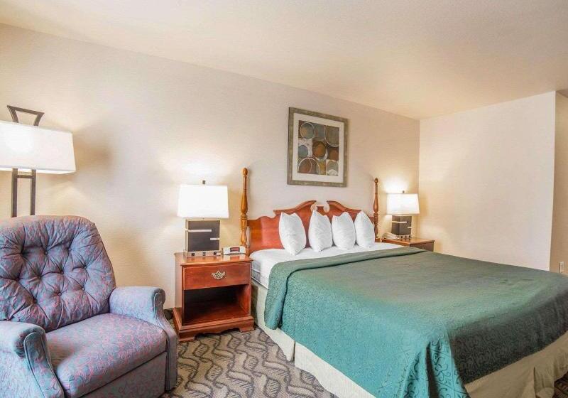 חדר סטנדרט עם מיטת קינג, Quality Inn & Suites Airport West