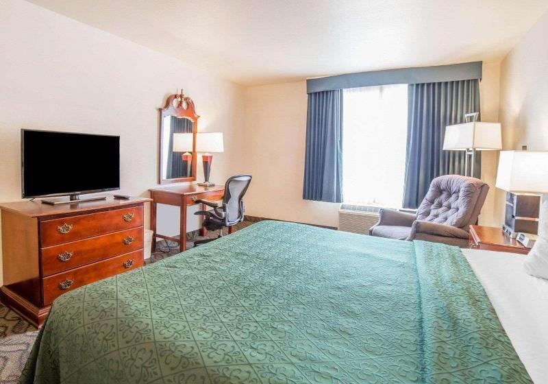 חדר סטנדרט עם מיטת קינג, Quality Inn & Suites Airport West