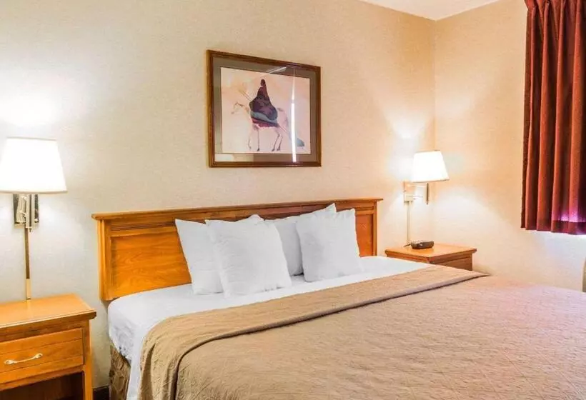 اتاق استاندارد برای معلولان, Quality Inn & Suites Montrose  Black Canyon Area