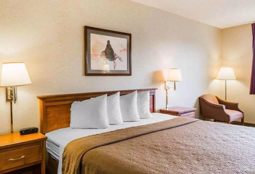 اتاق استاندارد با تخت بزرگ, Quality Inn & Suites Montrose  Black Canyon Area