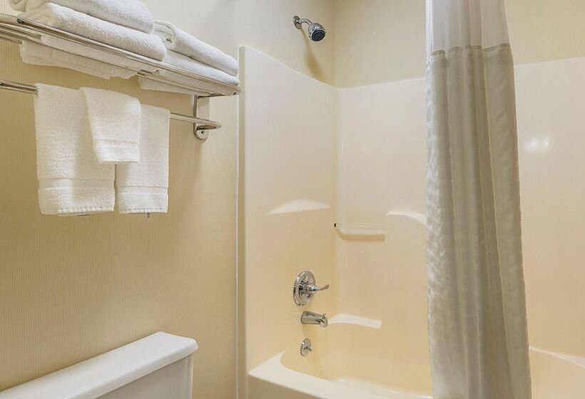 Номер Стандарт 2 Двуспальные Кровати, Quality Inn Waverly