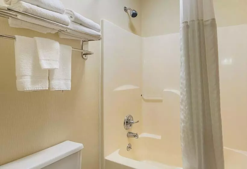 ２ダブルベッドのスタンダードルーム, Quality Inn Waverly