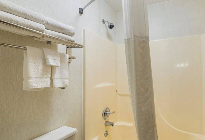 غرفه قياسيه سريرين مزدوجين, Quality Inn Waverly