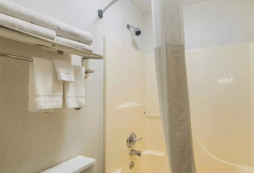 ２ダブルベッドのスタンダードルーム, Quality Inn Waverly