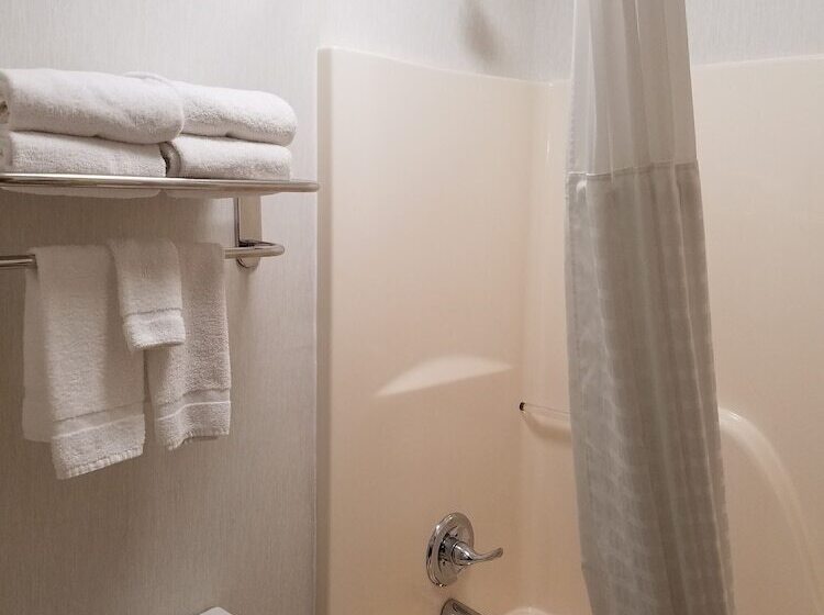 غرفه قياسيه سريرين مزدوجين, Quality Inn Waverly