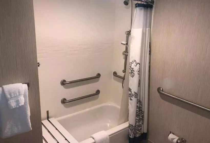 クイーンサイズベッドのスイートルーム, Residence Inn By Marriott Grand Rapids West